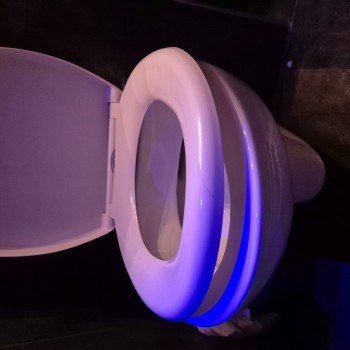 NiewolnikBoginiJulii